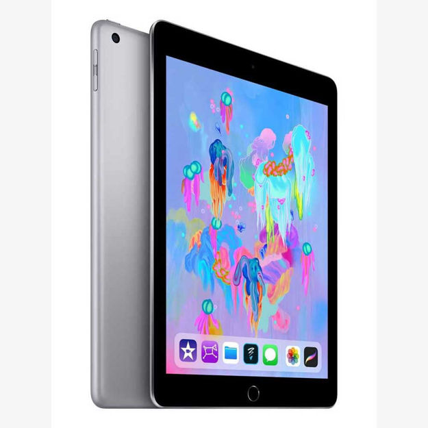 Picture of iPad (6th generation)